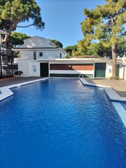 Rent Apartment in La Pineda