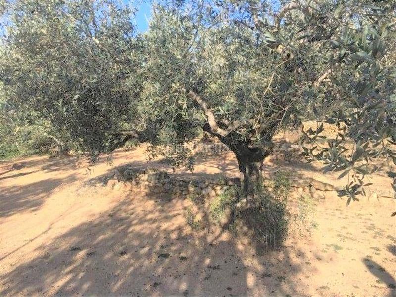 Foto 06aaab3d-18c5-4843-ba18-9bf3904cc3b7. Chalet in Centre Tortosa