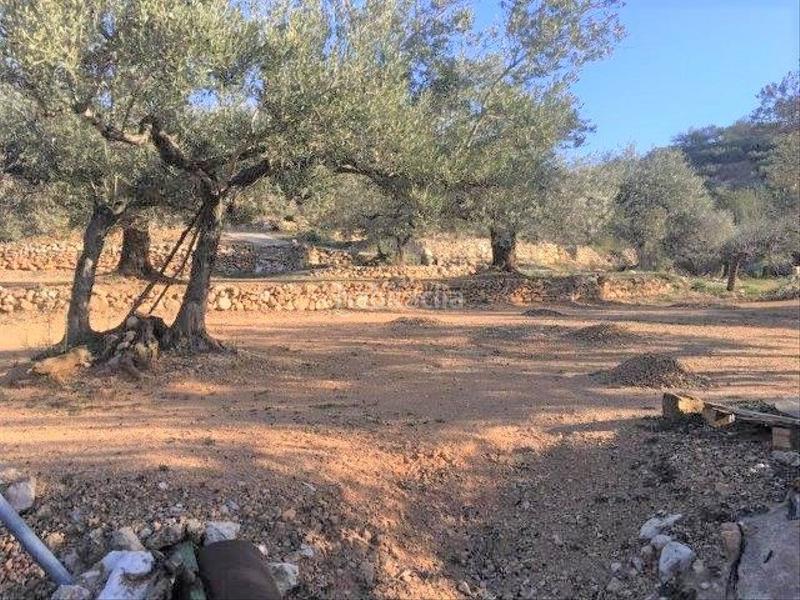 Foto 0e900c6a-e638-4522-8699-1bc0d44279a1. Chalet in Centre Tortosa