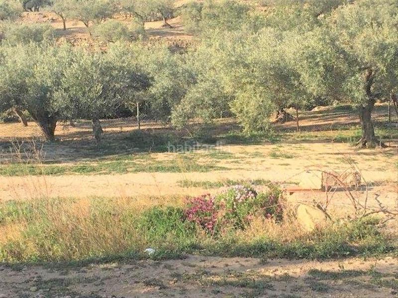 Foto 1381b53a-373d-4b4d-8153-0fb674e65e7c. Chalet in Centre Tortosa