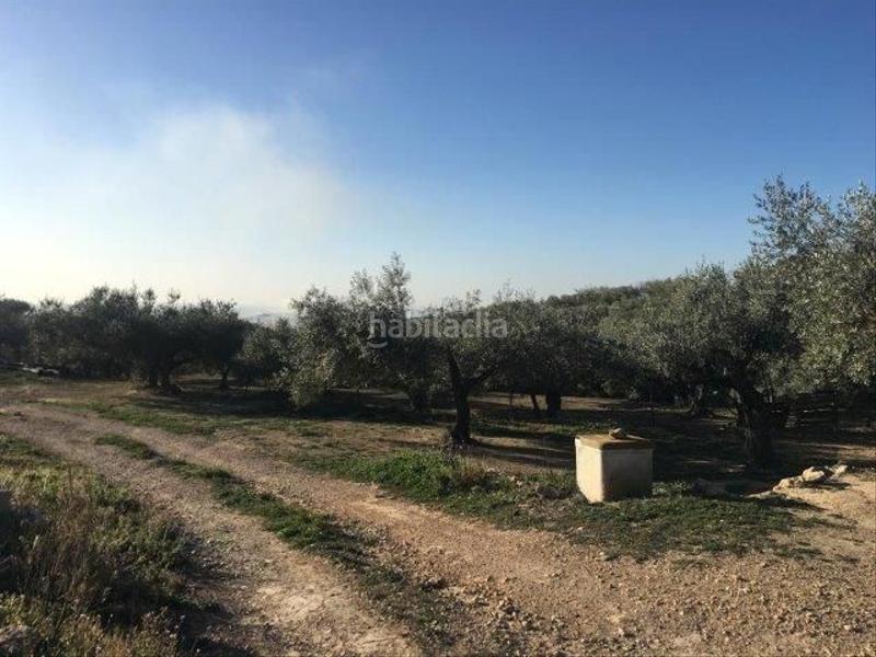 Foto 2f4470ab-3861-4e4a-8aa5-b51066b741ab. Chalet in Centre Tortosa