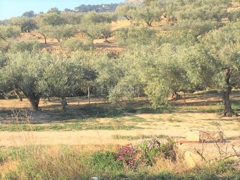 Foto 4395b20e-6eb4-41ca-aa2b-933bdd885882. Chalet in Centre Tortosa