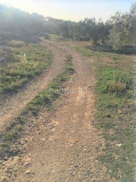 Foto 51ebf66d-acad-41c5-8ae8-eb7e94113454. Chalet in Centre Tortosa