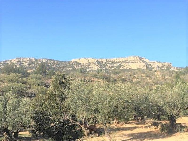 Foto 5b117fd0-bd34-4422-b91a-23119cc9b9b3. Chalet in Centre Tortosa