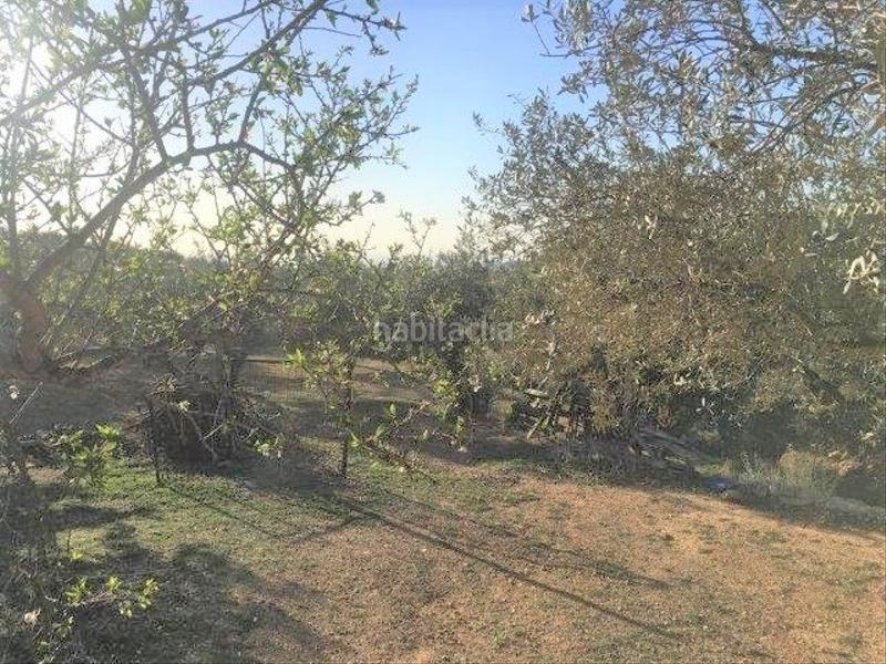 Foto 6a3aecbc-c109-4c8b-be98-2961828110c3. Chalet in Centre Tortosa