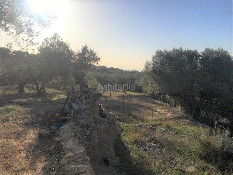 Foto 772fb79c-4694-4027-adca-624afb2c5b52. Chalet in Centre Tortosa