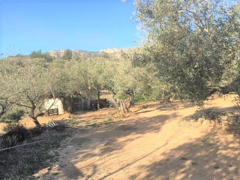 Foto b3880bfe-3a19-44f4-b02d-5b83df811643. Chalet in Centre Tortosa