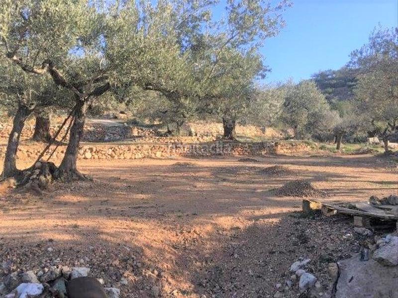 Foto cc98aa1c-534b-4736-8303-abd7bdf19a6f. Chalet in Centre Tortosa