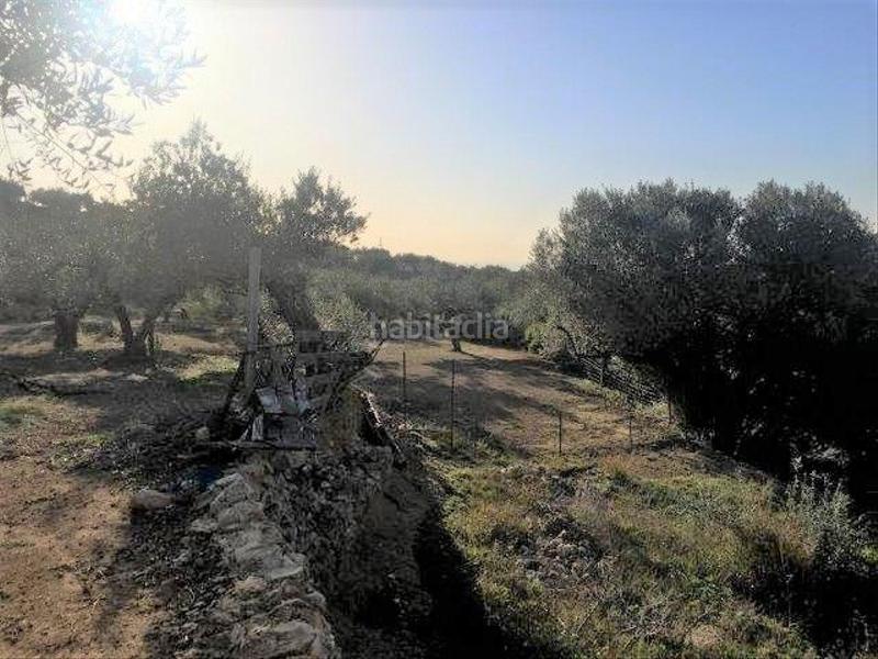 Foto cea77ef1-6681-4822-9acc-500ae81f7337. Chalet in Centre Tortosa