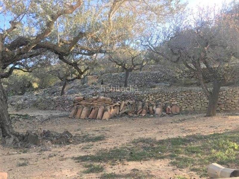 Foto de25f62a-a048-48d6-b58b-f0b84d544da7. Chalet in Centre Tortosa