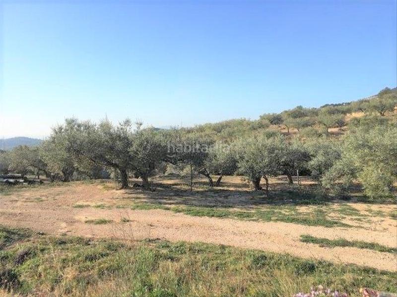 Foto f0d1e33a-0b0d-4792-bb18-3f0c5bc1dc79. Chalet in Centre Tortosa