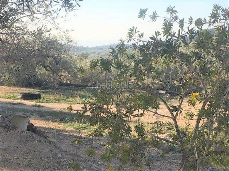 Foto fd9e6597-e0d1-4e9b-b4a6-294322025634. Chalet in Centre Tortosa