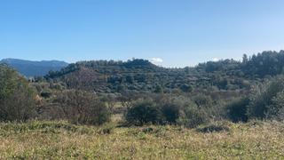 Finca rústica a Ascó. Asco - parcela de terreno, media hectárea - buen acceso y bonita