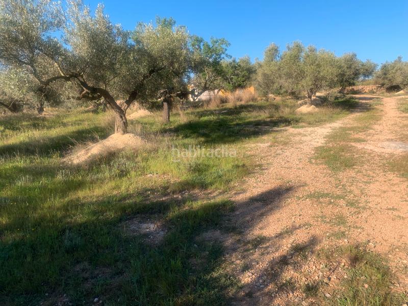 Foto 394bdee5-a28f-4517-aeea-57fb43faa244. Masia a Camarles