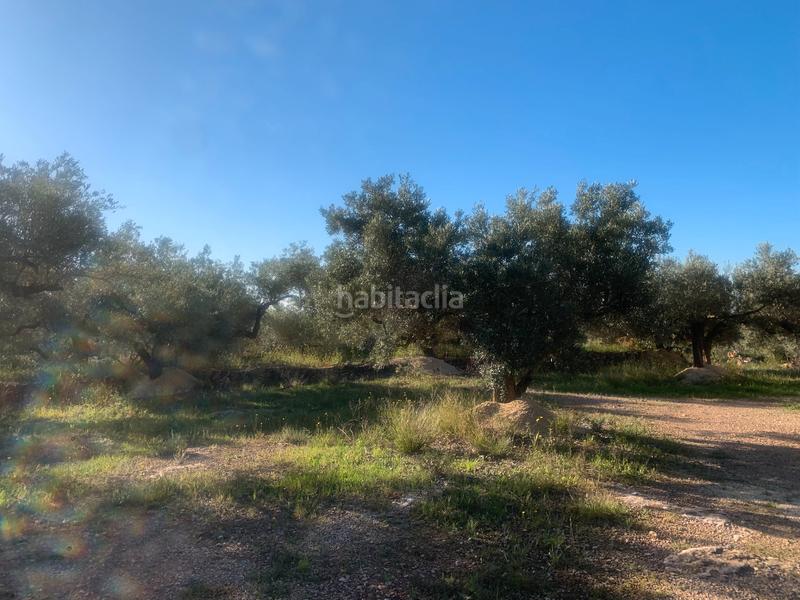 Foto 50de27e3-d2b1-4c16-b59f-6782ee813d39. Masia a Camarles