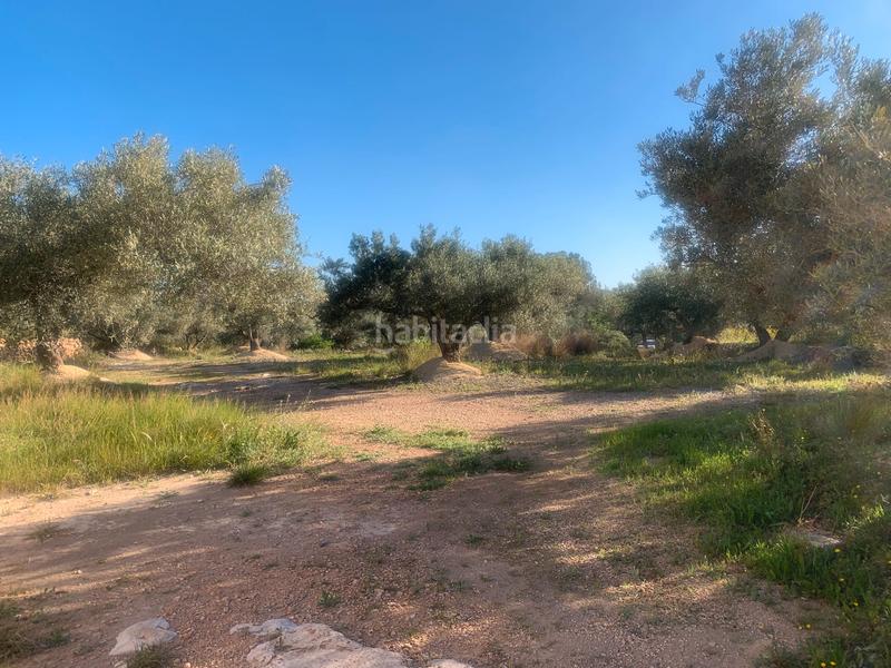 Foto 7f4237a1-8c2f-4c78-80bf-e9013a6984b3. Masia a Camarles