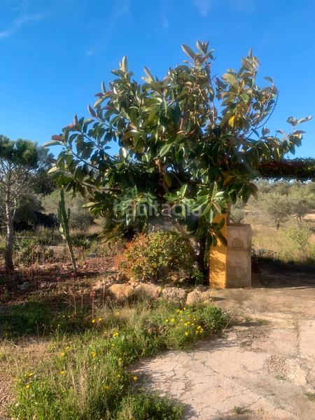 Foto 96c1601a-9f9d-49e9-a2a1-333e130c9fd6. Masia a Camarles