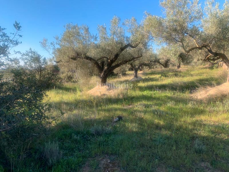 Foto 9f887886-59ea-4539-a08a-6304b290752f. Masia a Camarles