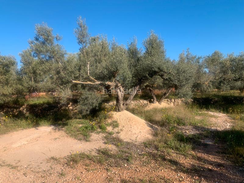 Foto ed961e5f-7575-40ea-9aa1-9d2c04705952. Masia a Camarles