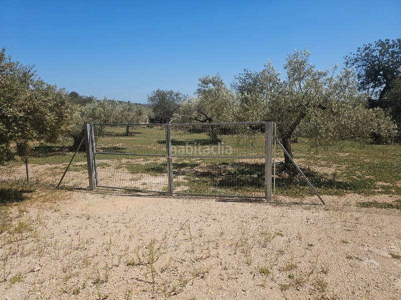 Foto a1c890a1-81d8-40b4-8a63-101779aea79f. Bauernhof in Perelló (El)