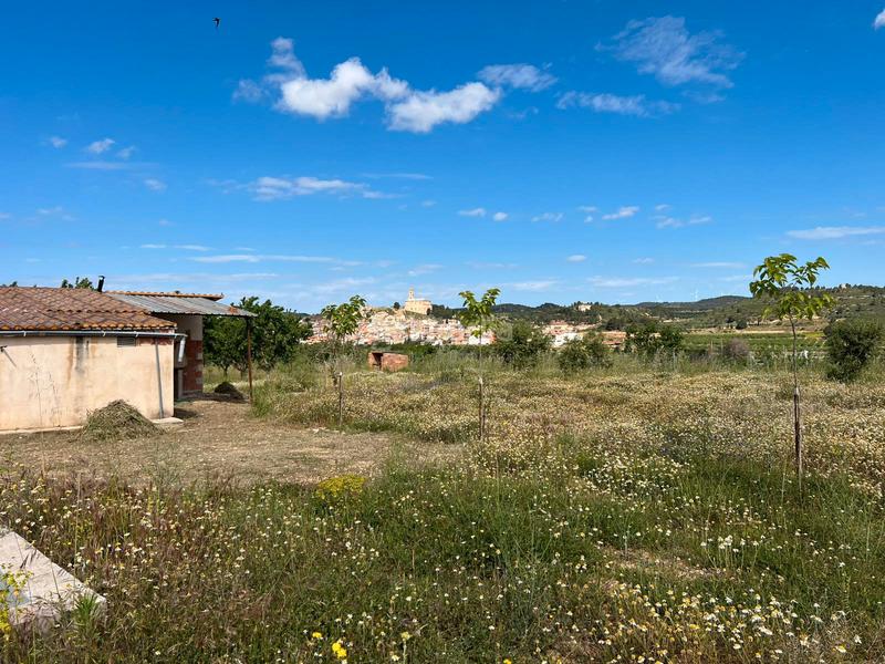 Foto 24e4cfcb-8320-4f6a-8f89-b0c05e0f8470. Masia a Corbera d´Ebre