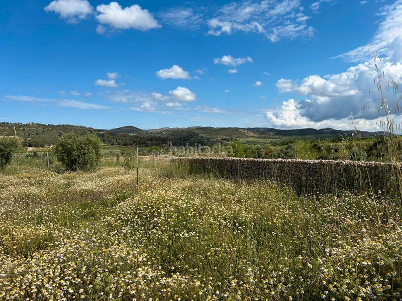 Foto 44435ad4-be53-4bde-992c-b64e6bc75716. Masia a Corbera d´Ebre