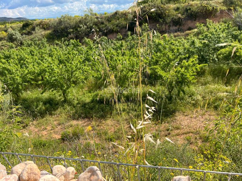 Foto 482bcbbf-8f10-403e-9b5d-1c78fc3c8f4c. Masia a Corbera d´Ebre