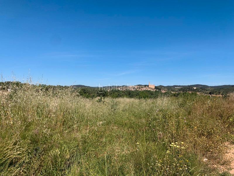 Foto 584fa66d-c2e2-4a5d-bf83-4fd0be42d692. Masia a Corbera d´Ebre