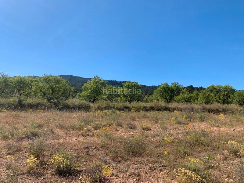 Foto 9888d18c-41dd-4b06-b253-dbde170d8fbe. Masia a Corbera d´Ebre