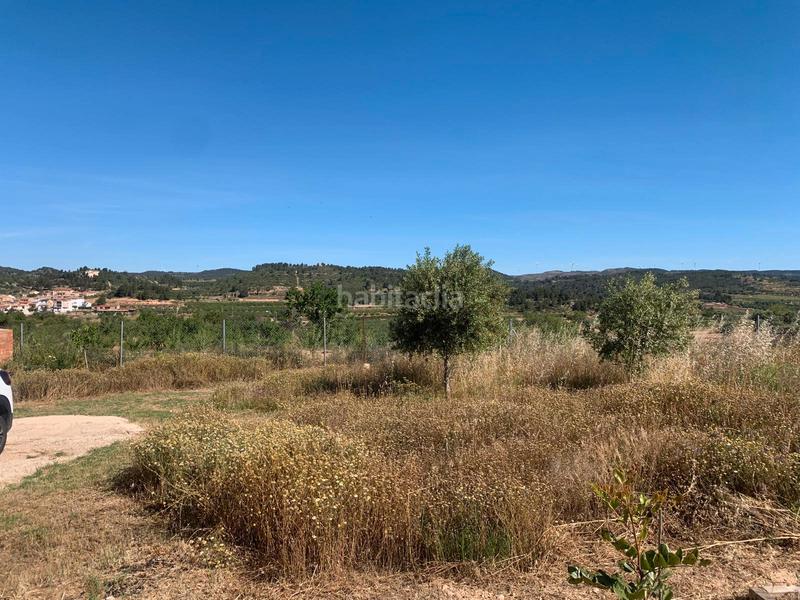 Foto d2624176-2e1b-4766-8408-582f489a126e. Masia a Corbera d´Ebre