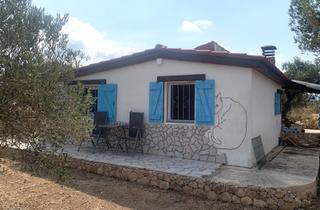 Mas à Tivissa. Encantadora casa rural con olivar: vida sin conexión a la red el
