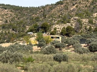 Casale in Flix. Casa rural de 5 dormitorios con alojamiento independiente para i