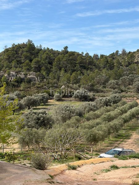 Foto 6781047c-6d17-482e-a687-f5ba46ce5f4b. Masia a Flix