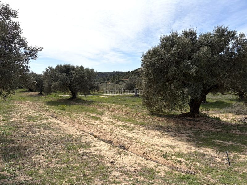 Foto a2fcf011-650d-46e3-bdfe-9400a2b5d1d6. Masia a Flix
