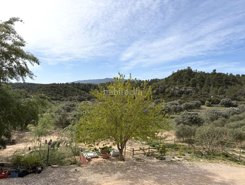 Foto af5f4065-d9be-4bdc-a0a3-79dfdcacdb94. Masia a Flix