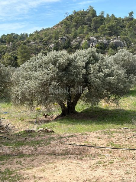 Foto bd0a7140-599d-4306-869d-e6f3e1ee8d45. Masia a Flix