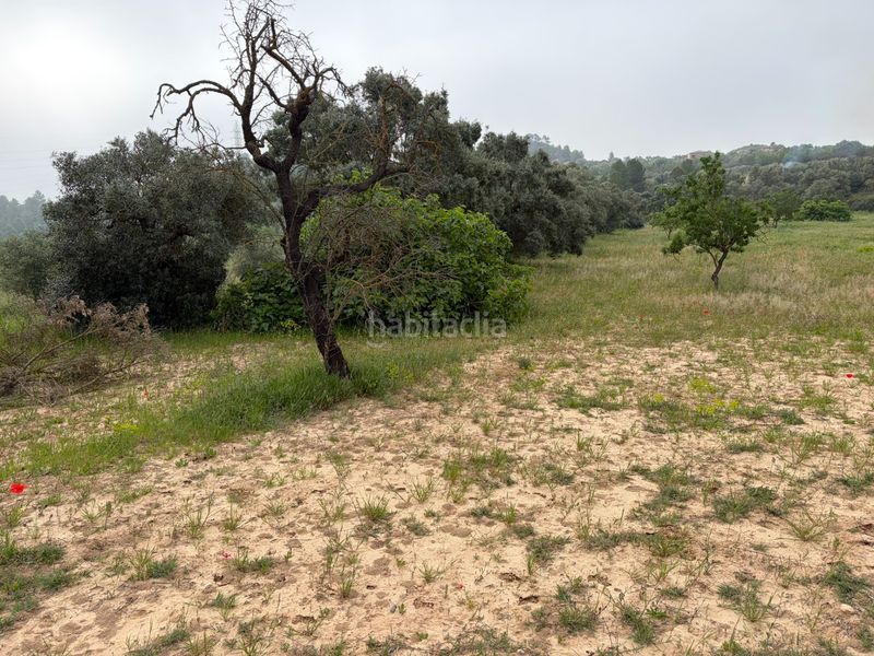 Foto 57e597f7-6229-421d-ae9d-a0201ec0e426. Finca rústica a Ascó