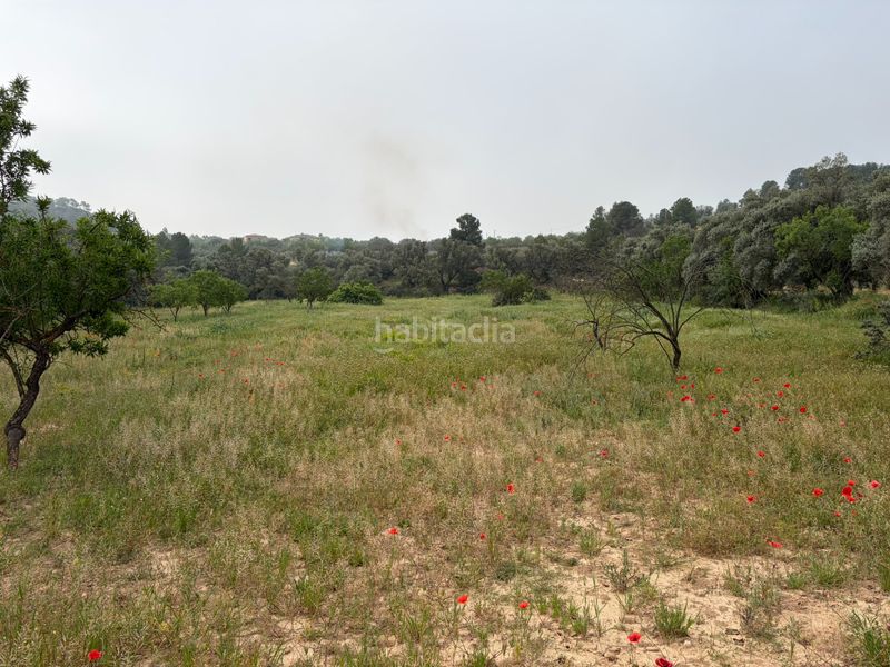 Foto b5043e38-baa4-4ff8-8bc4-667c458a3b2b. Finca rústica a Ascó