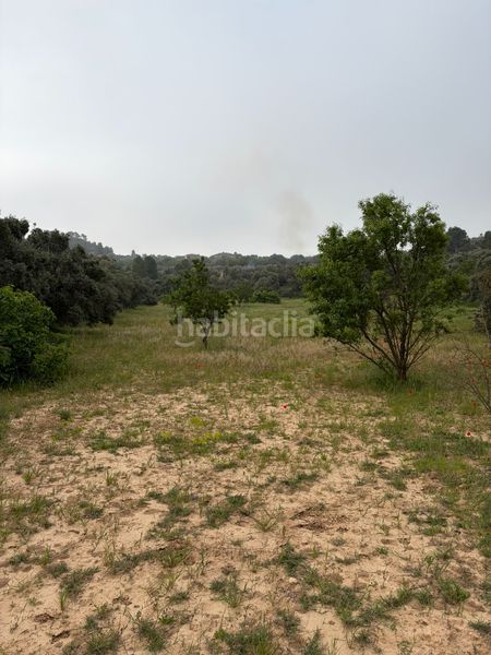 Foto e2c8d55e-c8df-4747-91ee-727fb11f2e37. Finca rústica a Ascó