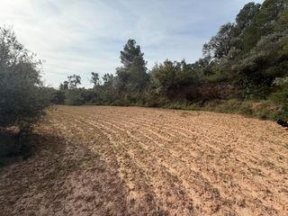 Rural plot in Ascó. Terreno rústico en venta: más de 1 hectárea de campo natural.