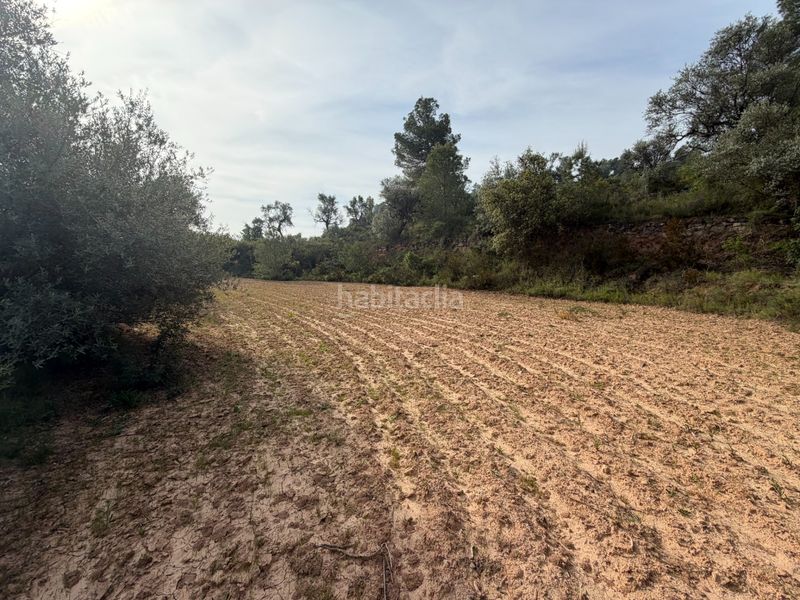 Foto d125a91f-b9e9-40e2-9798-a2c9772adb37. Finca rústica a Ascó