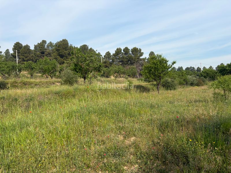 Foto 9fc63fa9-b34d-4848-a8b5-980dd5f59fc6. Finca rústica a Ascó
