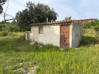 Rural plot in Ascó. Finca con pequeño edificio agrícola