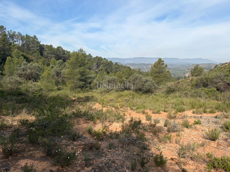 Foto 0b7a7e76-4e58-4ce8-87d2-3e3ce5a71f0d. Finca rústica a Ascó