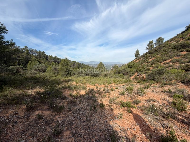 Foto a4bbea57-3664-41c9-a750-e0d5cbadd14e. Finca rústica a Ascó