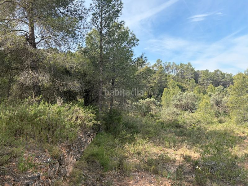 Foto e30a5c90-7c65-4ccd-81bb-48989bf0b703. Finca rústica a Ascó
