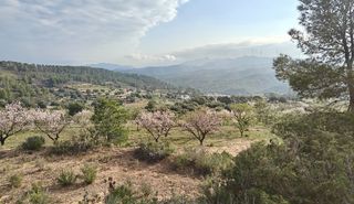 Mas à Ascó. Hermosa finca autosuficiente en 4,7 hectáreas con comodidades mo