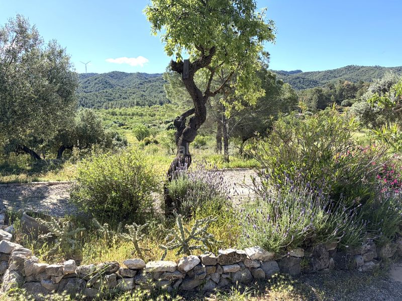 Foto b26783b7-64fb-4897-bc3a-a90e06732712. Masia amb xemeneia calefacció piscina a Ascó