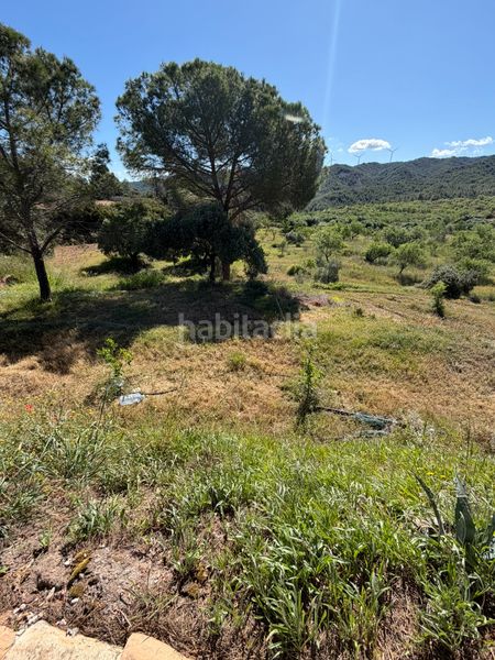 Foto c39cc700-69a0-4c47-a4ff-a9782737e8af. Masia amb xemeneia calefacció piscina a Ascó