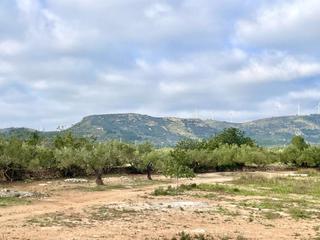 Casa a Camarles. Finca rústica con agua, licencia para construir almacén agrícola